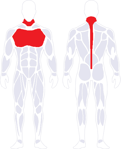 An image depicting unsafe places to place shockers. Places include along the spine, on the chest near the heart and on the neck.
